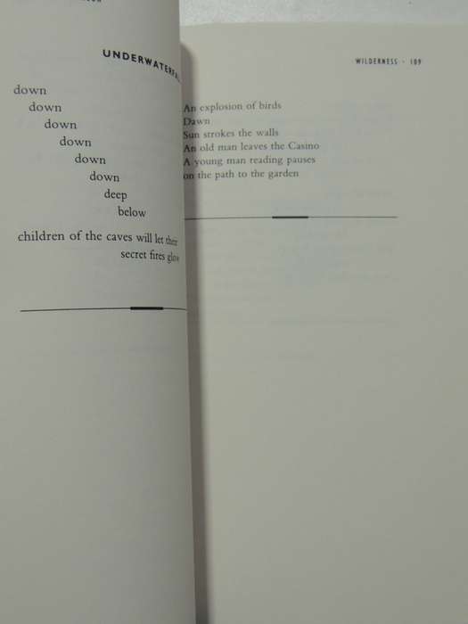 Wilderness - The Lost Writings Of Jim Morrison - Jim Morrison