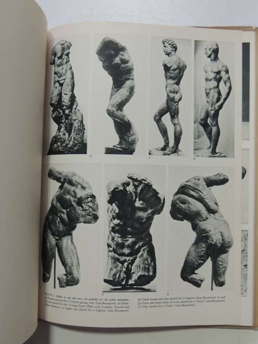 Michelangelo: Paintings, Sculptures, Architecture - Ludwig Goldscheider
