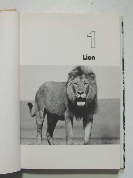 Death In The Long Grass, A Big Game Hunter`s Adventures In The African Bush- Peter Hathaway Capstick