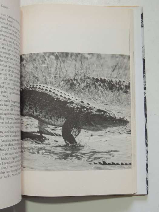 Death In The Long Grass, A Big Game Hunter`s Adventures In The African Bush- Peter Hathaway Capstick