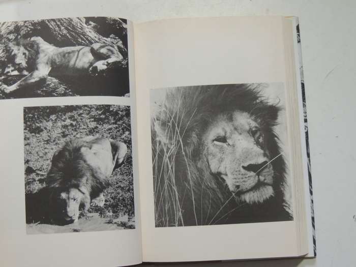 Death In The Long Grass, A Big Game Hunter`s Adventures In The African Bush- Peter Hathaway Capstick