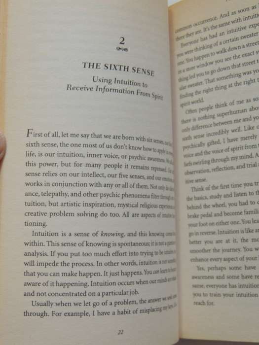 Heaven and Earth , Making the Psychic Connection - James van Praagh