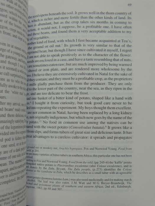 Alone Among The Zulus - Catherine Barter