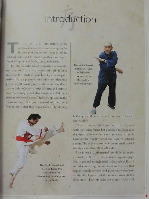 The Way Of The Spiritual Warrior - Soft Style Martial Arts For Body, Mind, & Spirit - Paul Brechter
