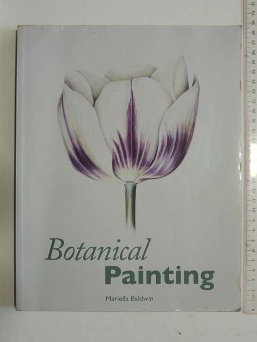 Botanical Painting - Mariella Baldwin