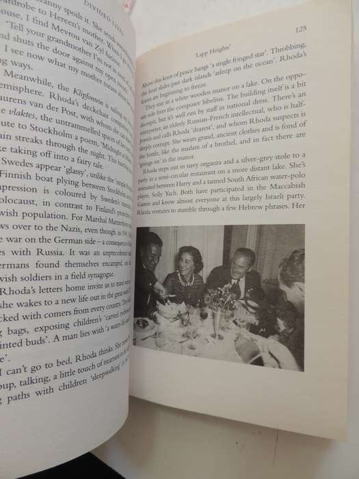 Divided Lives, Dreams Of A Mother And Daughter - Lyndall Gordon