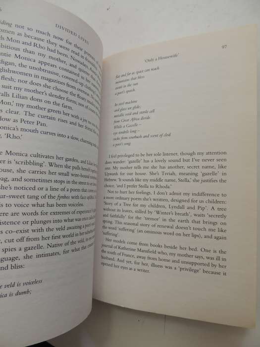 Divided Lives, Dreams Of A Mother And Daughter - Lyndall Gordon