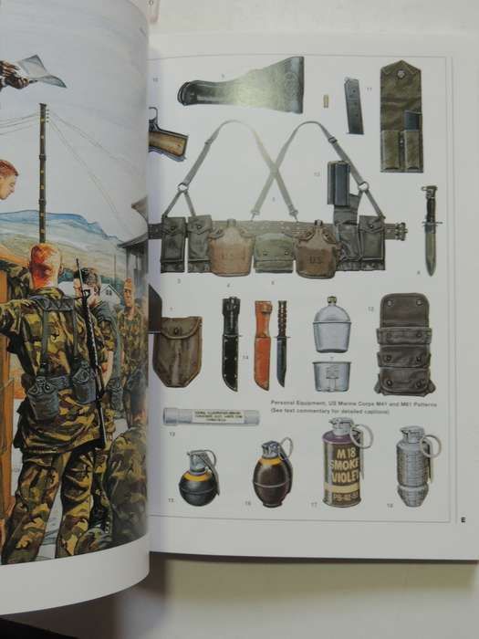 Osprey Warrior Series: US Marine In Vietnam 1965-1973 Charles D Melson