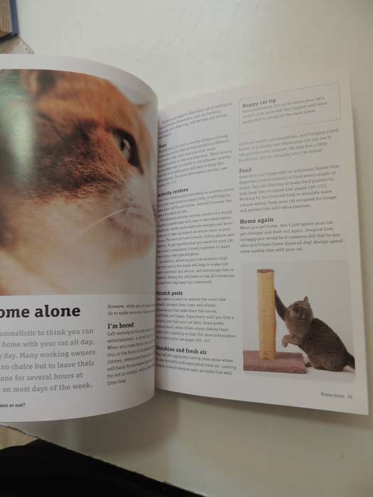 How to Have a Happy Cat- Andrea McHugh