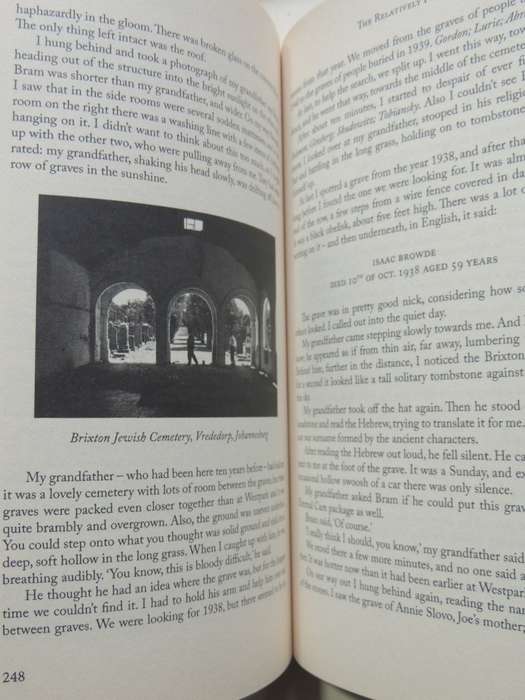 The Relatively Public Life Of Jules Browde - Daniel Browde