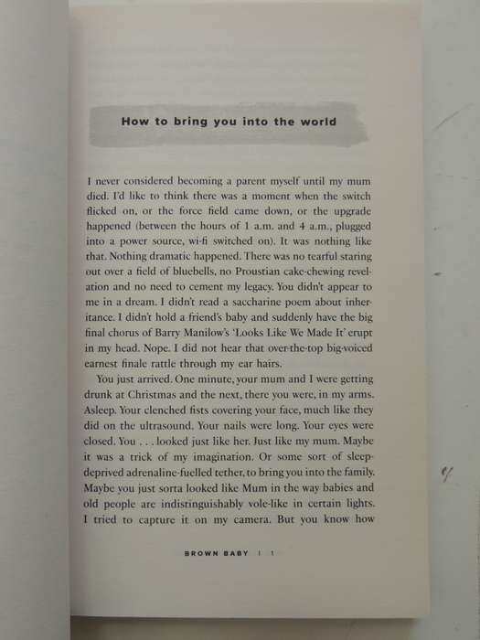 Brown Baby - A Memoir Of Race, Family And Home - Nikesh Shukla