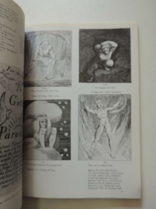 William Blake: The Seer and His Visions - Milton Klonsky