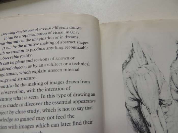Figure Drawing And Anatomy For The Artist - John Raynes