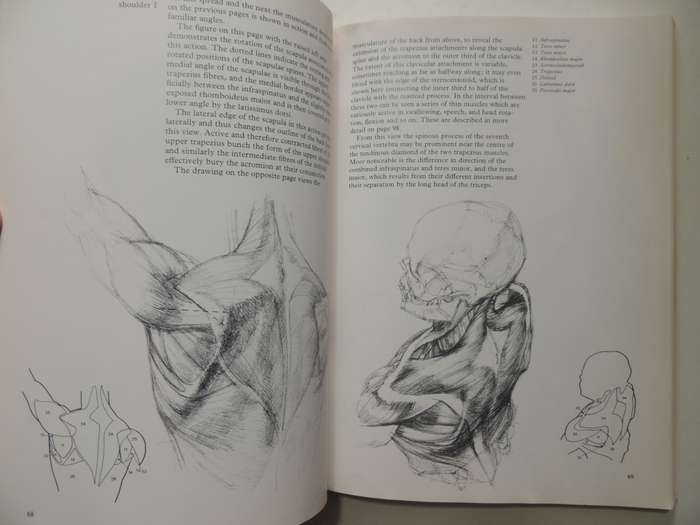 Figure Drawing And Anatomy For The Artist - John Raynes