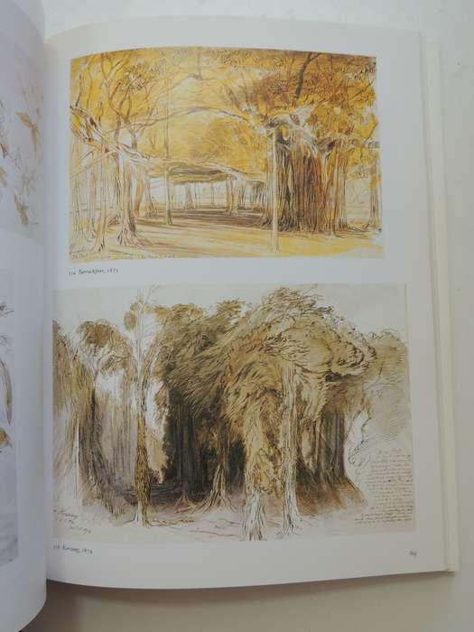 Edward Lear 1812-1888 At The Royal Academy Of Arts - Vivien Noakes