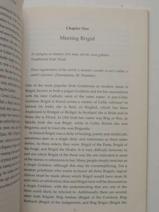 Pagan Portals, Brigid: Meeting The Celtic Goddess Of Poetry, Forge, And Healing Well -Morgan Daimler