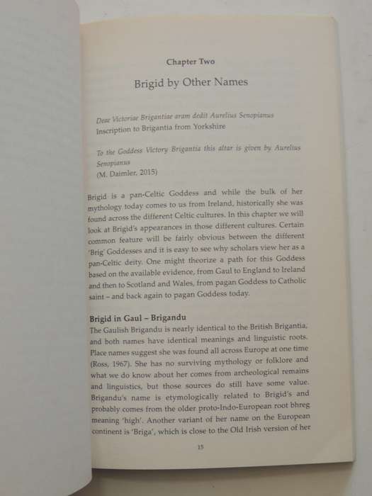 Pagan Portals, Brigid: Meeting The Celtic Goddess Of Poetry, Forge, And Healing Well -Morgan Daimler