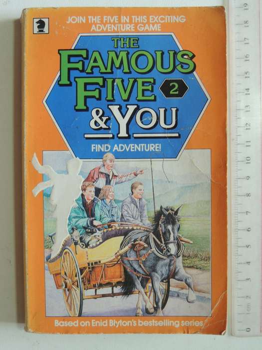 The Famous Five & You 2 - Adapted By Mary Tanby