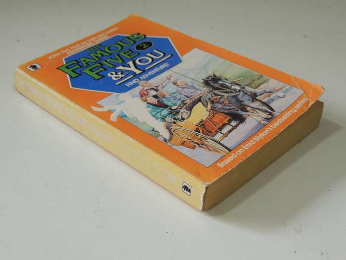 The Famous Five & You 2 - Adapted By Mary Tanby