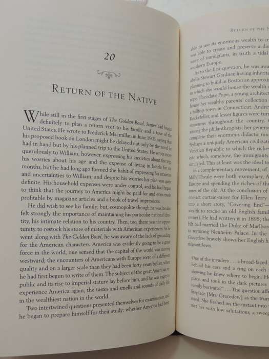 Henry James, TheMature Master - Sheldon M Novick