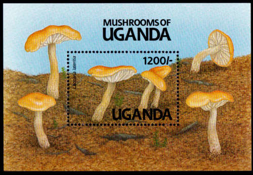 UGANDA, 1991. Fungi. Mini sheet