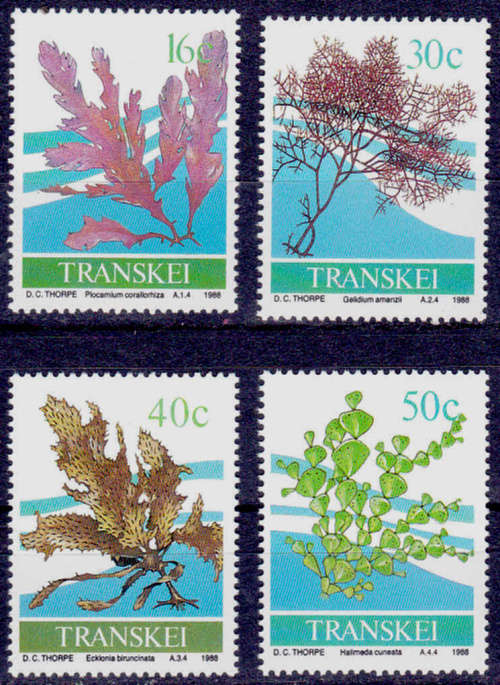TRANSKEI 1988, 18 Feb. Seaweed, set, MNH, CV R 10.00 view scans