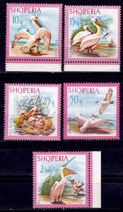 ALBANIA 1967, 22 Feb. BIRDS - DALMATIAN PELICAN, set, MH, CV +/-R 170.00, view scans
