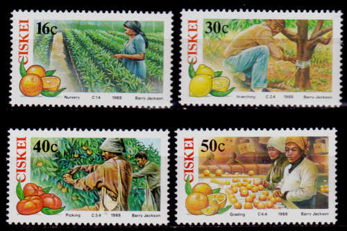 CISKEI, 1988. Citrus farming. Full set