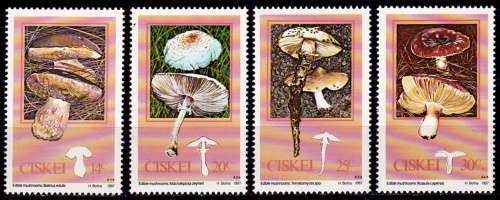 CISKEI 1987, 19 March. Edible Mushrooms, set, MNH, CV +/- R 10.00 view scans