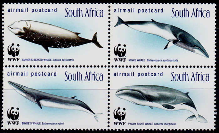 RSA 1998, 23 Oct. WHALES OF SOUTHERN OCEANS WWF, setenant block, MNH, CV R 150.00 view scans