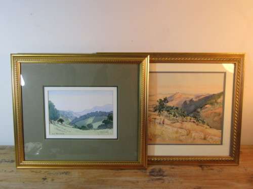 Lot of 2 original watercolour on paper Paintings, behind glass and framed, 47cm x 37cm, Ann Bertram