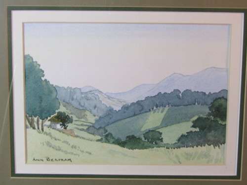 Lot of 2 original watercolour on paper Paintings, behind glass and framed, 47cm x 37cm, Ann Bertram
