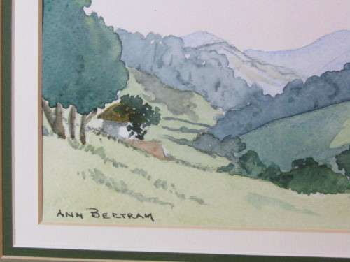 Lot of 2 original watercolour on paper Paintings, behind glass and framed, 47cm x 37cm, Ann Bertram
