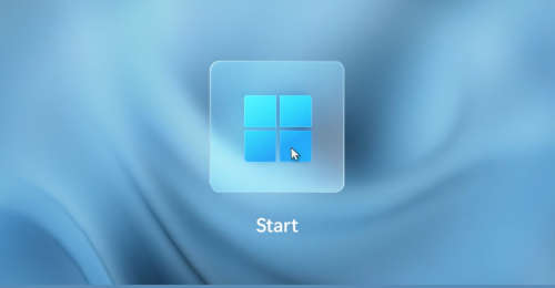 Microsoft Windows 11 Pro (Fresh Install + Lifetime Online Activation)