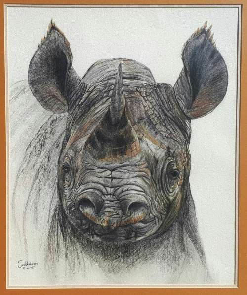 Original sketch by CHRISTELLE VAN DER WESTHUIZEN