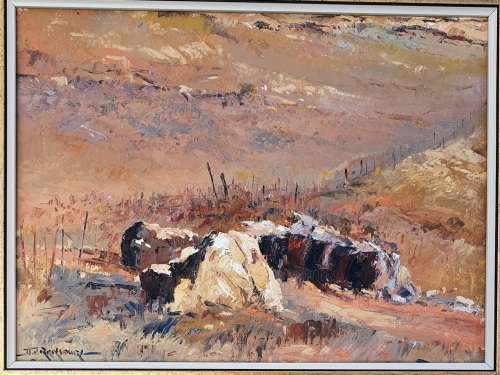 Original oil painting by JOHANN VAN RENSBURG