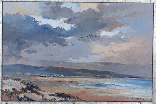 Original oil painting by JOHANN VAN RENSBURG