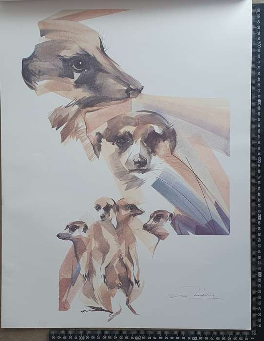 Wild life Print of a painting by Derric van Rensburg as per photo