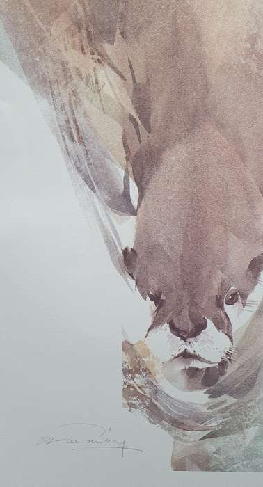 Wild life Print of a painting by Derric van Rensburg as per photo