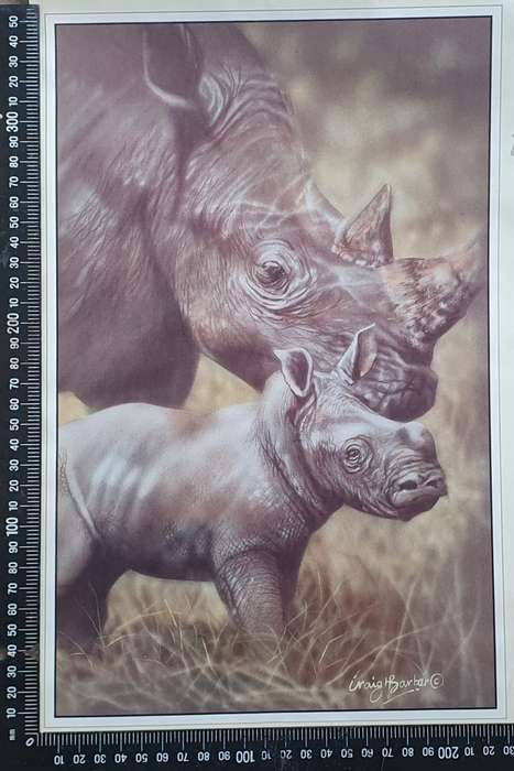 Wild life Print of a painting by Graig H. Barber as per photo