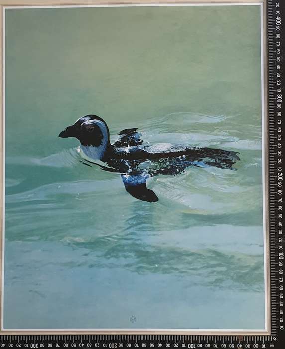 Wild life Print of a painting by RAY HARRIS-CHING as per photo