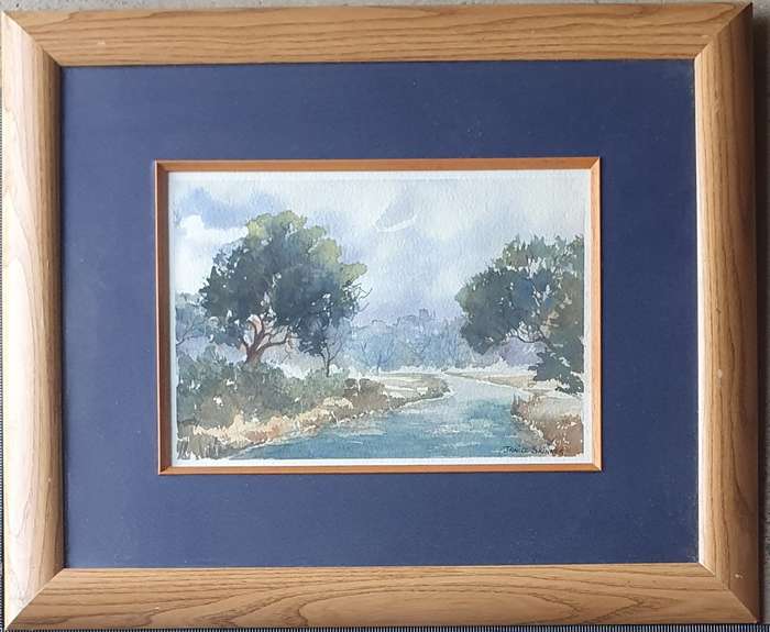 Original framed watercolour  painting by JANICE SKINNER as per photos