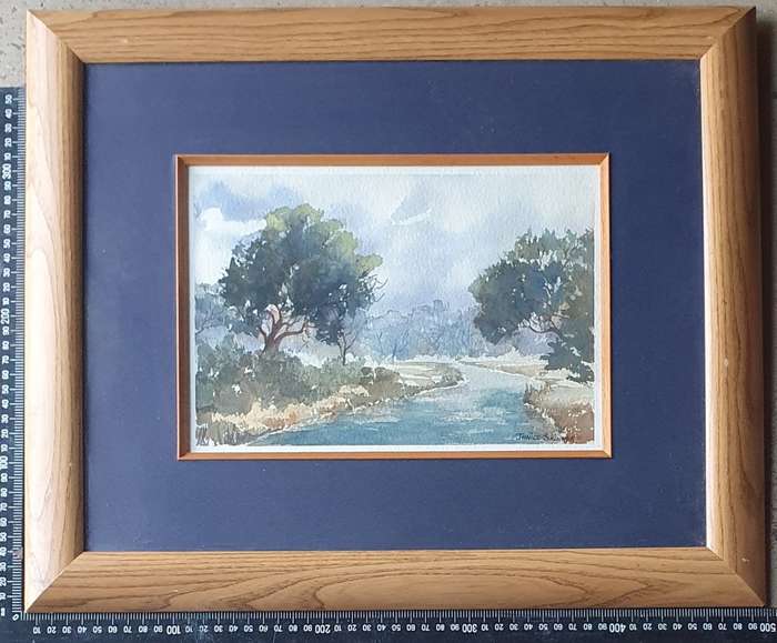 Original framed watercolour  painting by JANICE SKINNER as per photos