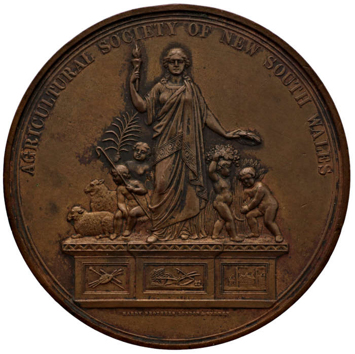 1876 Australia Agricultural Society of New South Wales 85mm Medal, Practice and Science Medal Awarde