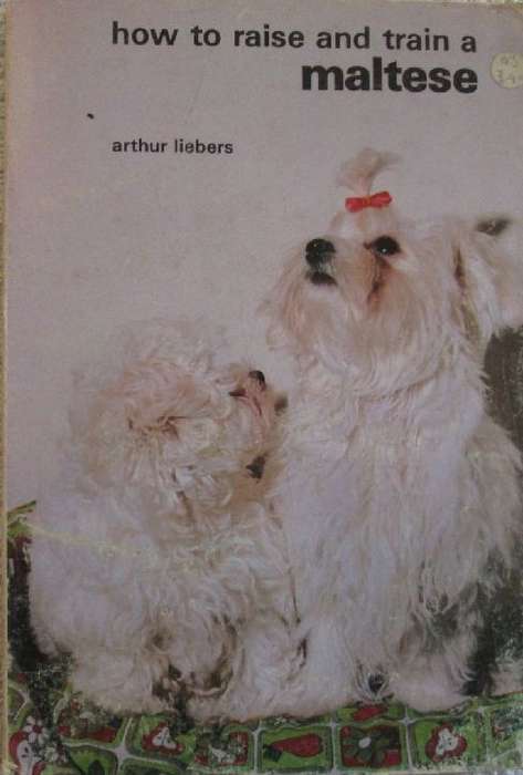 How to Raise and Train a Maltese - Arthur Liebers
