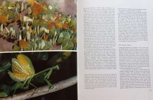 The Nature Of Life - Lorus and Margery Milne - Hardcover - 319 pages