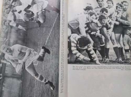 Die Ligbloues - Johan Volschenk - Softcover - 193 Pages