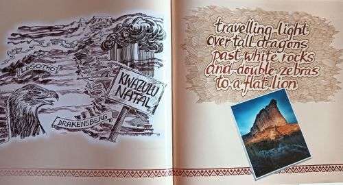 Raconteur Road - Shots Into Africa - Obie Oberholzer - Hardcover - 179 pages