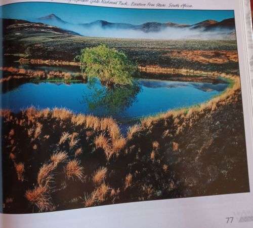 Raconteur Road - Shots Into Africa - Obie Oberholzer - Hardcover - 179 pages