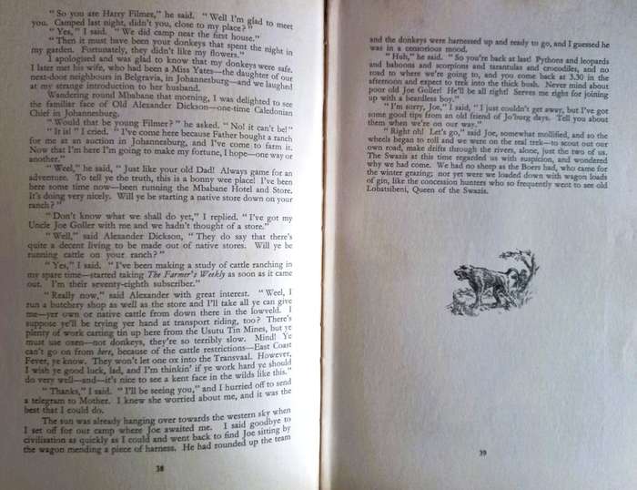 Usutu! - Harry Filmer and Patricia Jameson - Hardcover - 144 Pages